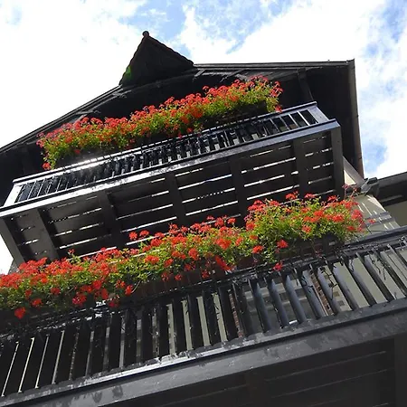 Franciszek Przy Parku Szwedzkim