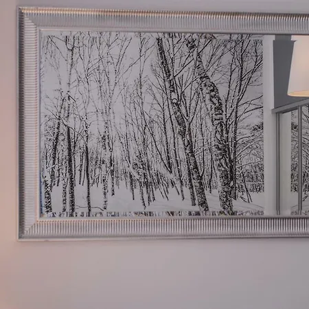 Franciszek Przy Parku Szwedzkim *