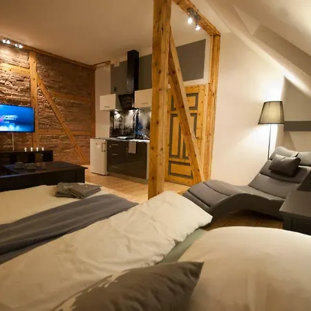 Apartament Franciszek Przy Parku Szwedzkim