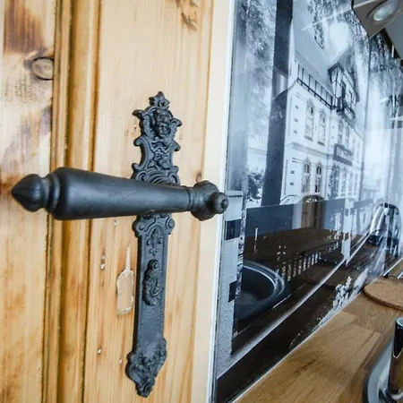 Apartament Franciszek Przy Parku Szwedzkim Szczawno-Zdroj