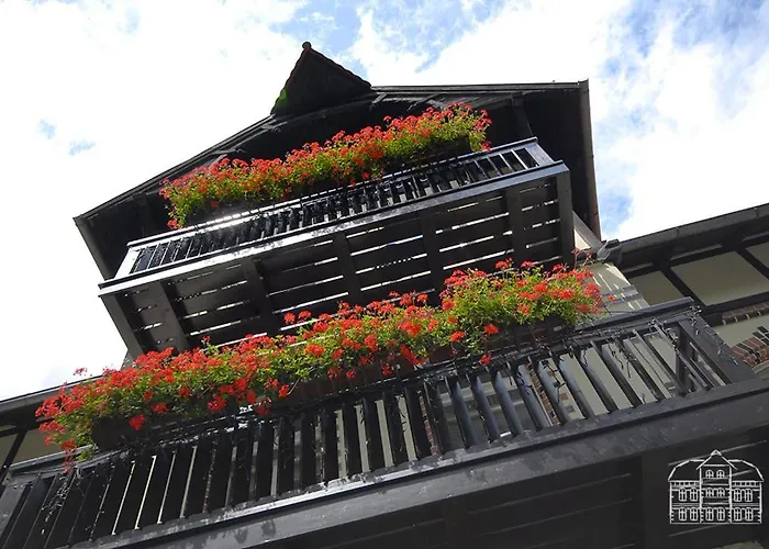 Franciszek Przy Parku Szwedzkim