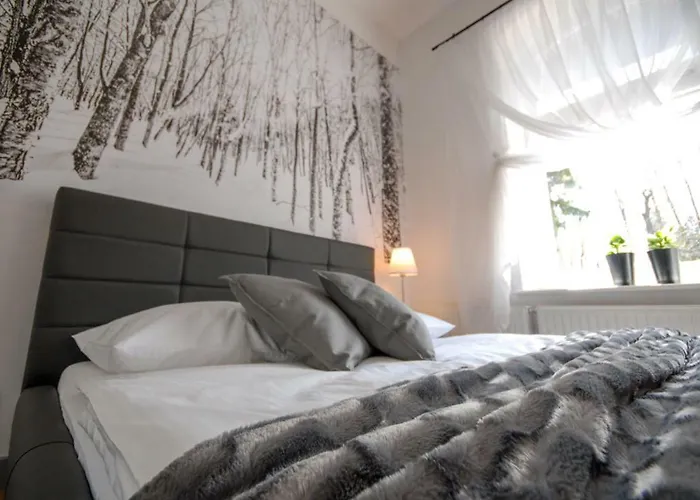 Franciszek Przy Parku Szwedzkim * Szczawno-Zdroj