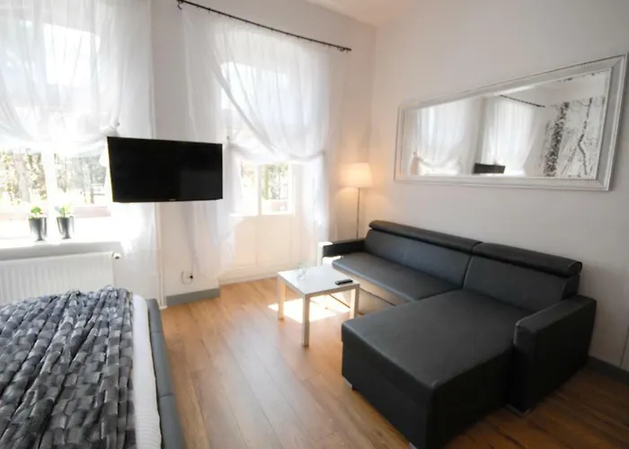 Apartament Franciszek Przy Parku Szwedzkim *