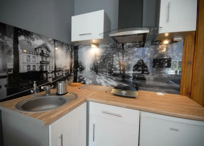 Franciszek Przy Parku Szwedzkim Apartament