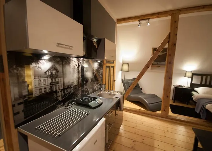 Franciszek Przy Parku Szwedzkim Apartament *